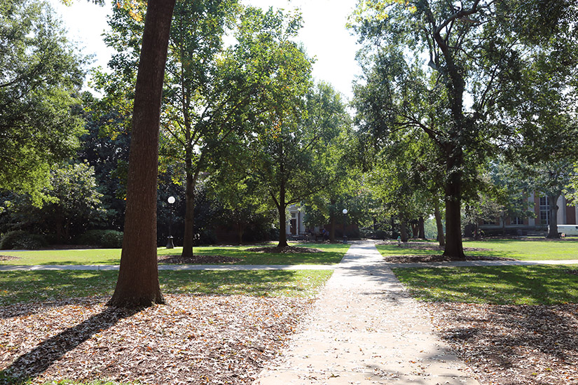 Tree-lined walkway along North Campus in late summer